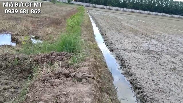 Bán Lô Đất Lúa, Hơn 4400m2, Giá 380 Triệu/1000m2 TL, Ô Môn, TP Cần Thơ @nhadatcanthomientay смотреть онлайн