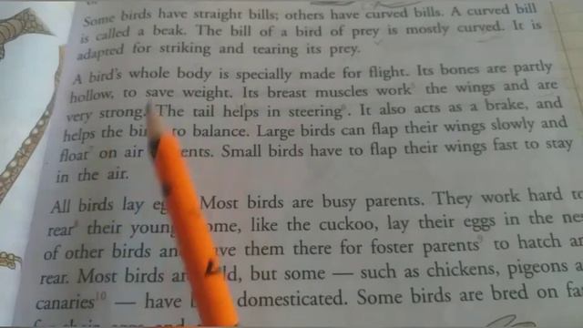 Class Vl,English ,Ch.3.2 (Beaks and feathers) смотреть онлайн