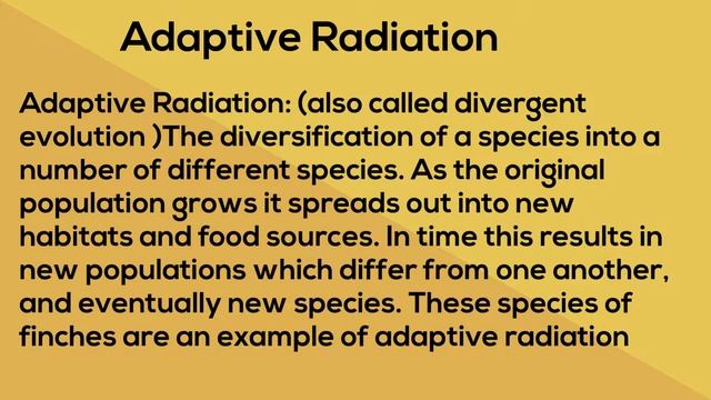 Adaptive Radiation Meaning смотреть онлайн