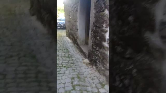 wow e👏👏👏 lol raga смотреть онлайн