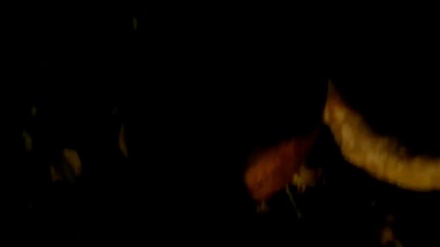 мыши тоже любят дыни. смотреть онлайн