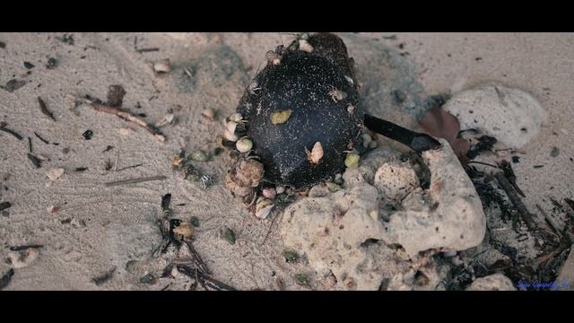 Andaman & Nicobar Islands | Cinematic | 4K | 2021