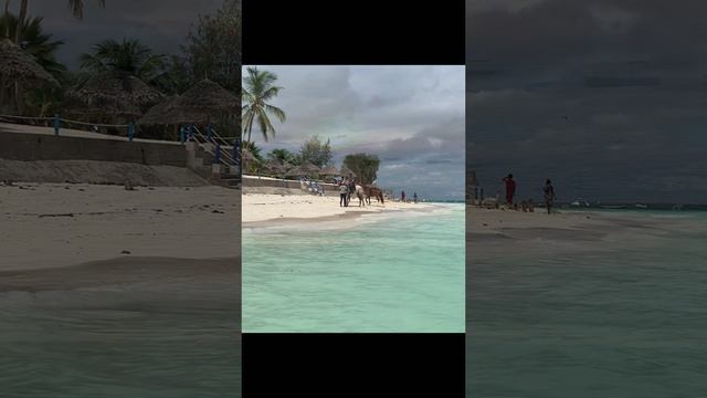 Казаки на Занзибаре