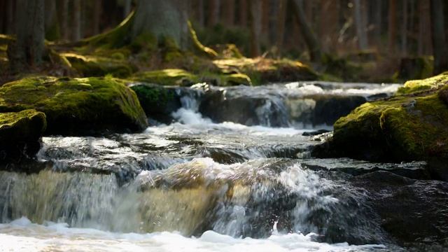 Amazing Forest Waterfall 💦 Crystal Pure Sounds of Water 🌳 8K Video смотреть онлайн
