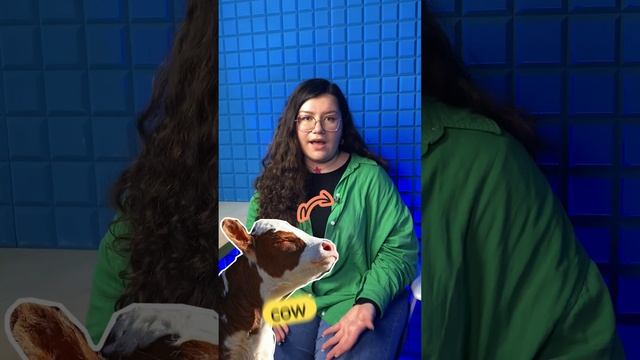 Почему Райан Гослинг — гусь? ☝🏻 #английский #егэ #английскийегэ #лексика смотреть онлайн