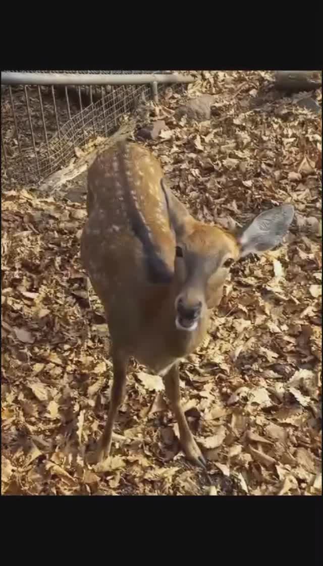 Доброе утро. смотреть онлайн