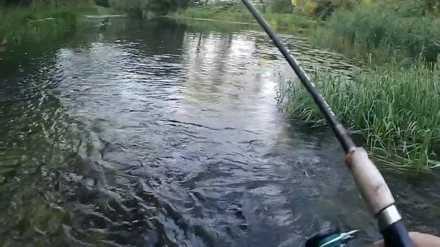 В поисках голавля по рекам Тульской области. Четерех Часовая рыбалка на .Пронское Городище. смотреть онлайн