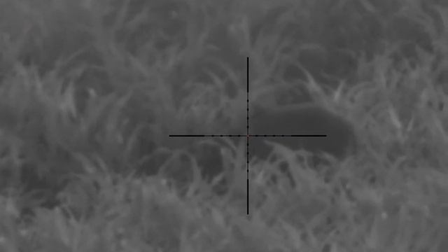 Pulsar N455 hunting смотреть онлайн