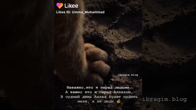 А важно кто я перед Аллахом, ☝🏻🙂 смотреть онлайн