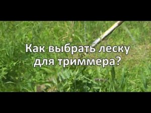 Как выбрать леску для триммера  Подробная инструкция