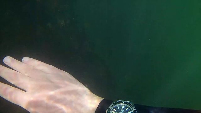 Tag Heuer Aquaracer Calibre 5 Automatic 300m 43mm смотреть онлайн