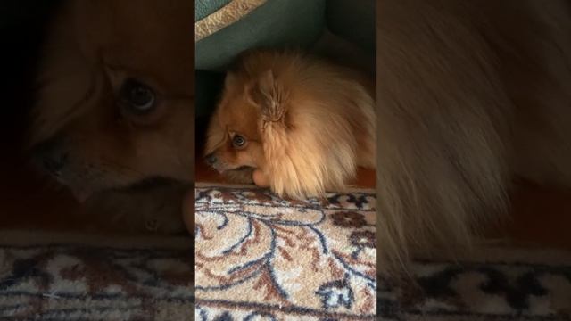 18 февраля 2024 г.