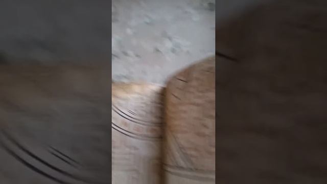 Гравити Фолз в реальности смотреть онлайн