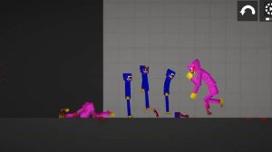 киси миси Vs хаги ваги