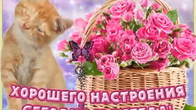 Харошае настроене смотреть онлайн