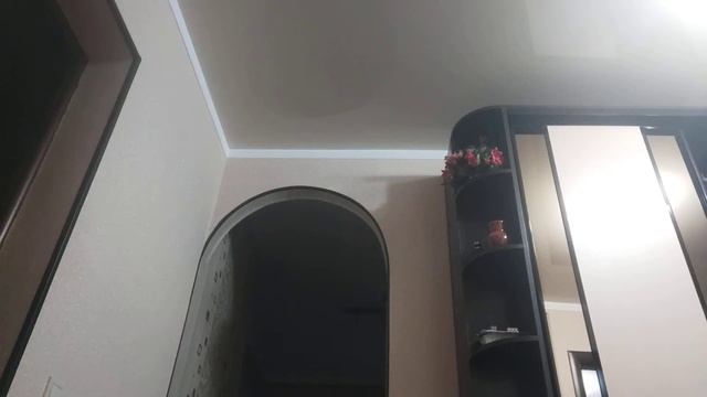 TV man титан сражается с G man смотреть онлайн