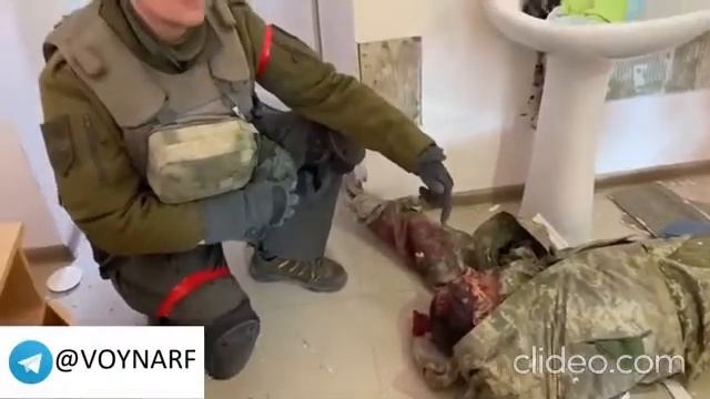 Нацики добивают своих