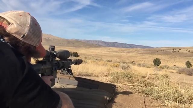 SAS Resistor MX 30 Cal Suppressor on 260 AR10 смотреть онлайн