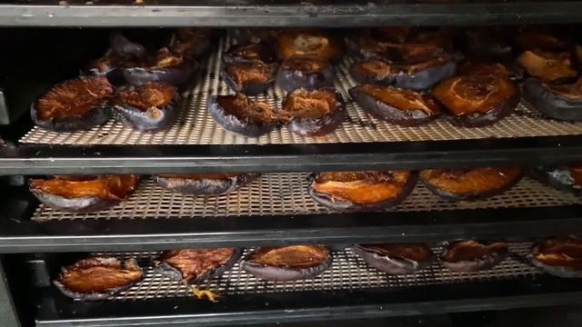 Готовим на природе