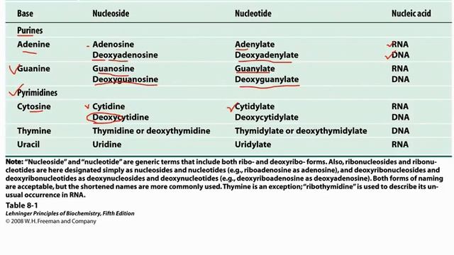 Plant Biotechnology @@@ Nucleotides and Nucleic acid смотреть онлайн