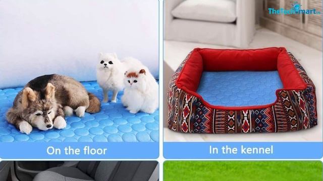 Top 5 Best Dog Cooling Pads In 2024 Reviews