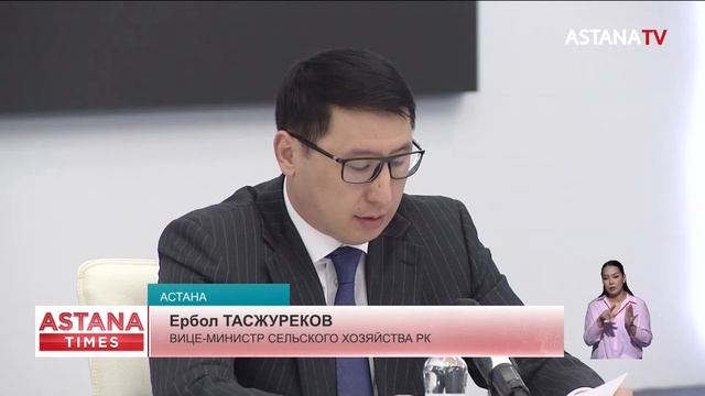 Свыше 13 тысяч микрокредитов выдали казахстанцам по программе «Ауыл аманаты» смотреть онлайн