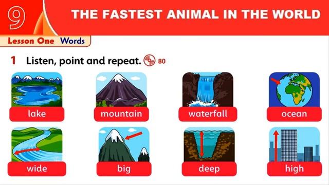 UNIT 9 THE FASTEST ANIMAL IN THE WORLD Family and friends 3 second edition 6s 2m5s UXjktwzu смотреть онлайн