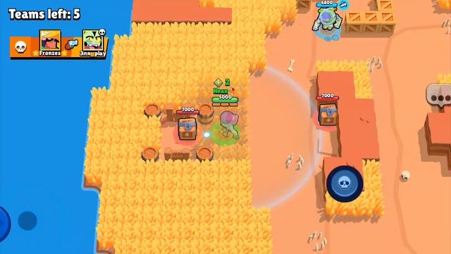 браво старс