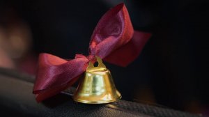 Выпускной бал Лизы