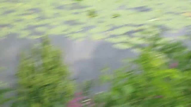 Киев, Днепр, набережная смотреть онлайн