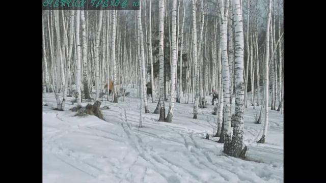 ВСЕ ГРЕХИ "Самогонщики" и "Пёс Барбос и необычный кросс" смотреть онлайн