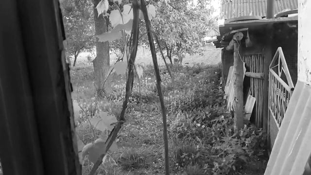 Чисто по нормальному смотреть онлайн