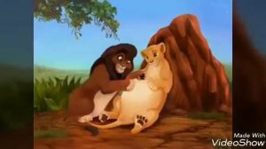 История Копы, Киары и Кайона