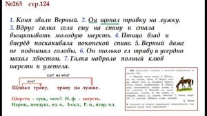 ГДЗ 4 класс, Русский язык, Упражнение. 263  Канакина В.П Горецкий В.Г Учебник, 2 часть