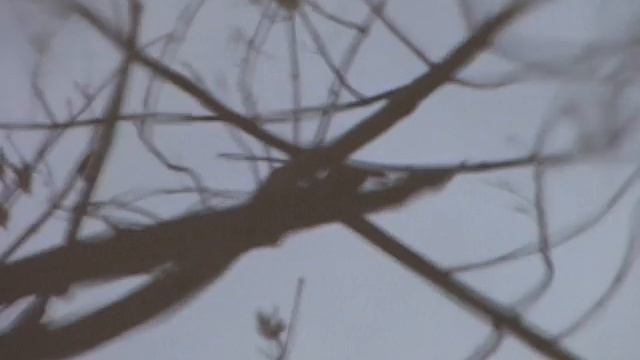 ОСЕННИЙ АВИТАМИНОЗ