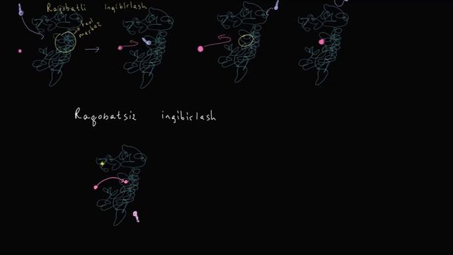 Raqobatsiz ingibirlash | Energiya va fermentlar | Biologiya смотреть онлайн