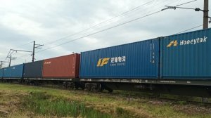 Электровоз ВЛ10У-193 с контейнерным поездом и приветливым машинистом заходит на ст. Шушары