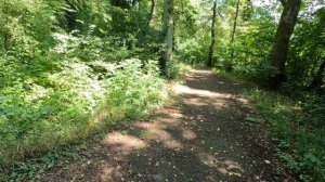 ДНЕВНИК ДЯДИ СЕРЁЖИ НАКАЗАЛ ВОРА. ГЕРМАНИЯ СЕГОДНЯ