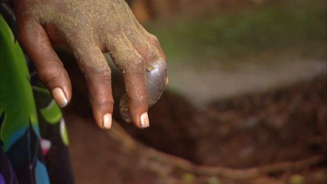 Живой мир. Смертоносные змеи Индии. смотреть онлайн