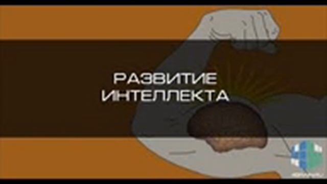 Аудио книга РАЗВИТИЕ СОСТАВЛЯЮЩИХ ЧЕЛОВЕКА Гл 8 РАЗВИТИЕ ИНТЕЛЛЕКТА смотреть онлайн
