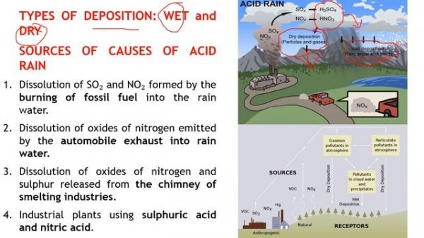 Global Environmental Issues Part 2 ( Global warming ,Acid Rain & Ozone Layer Depletion)#global issu