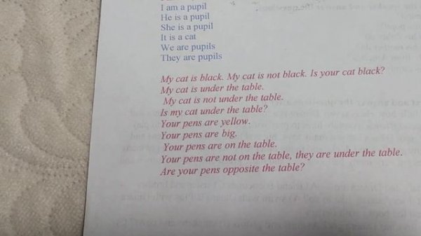 конструкция have got/has got, глагол to be(am,is,are)(2)