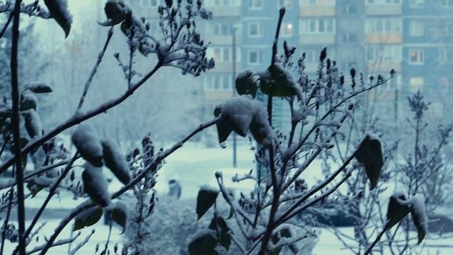 Шёл первый снег смотреть онлайн