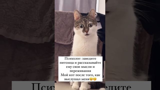 1000005966.mp4 смотреть онлайн