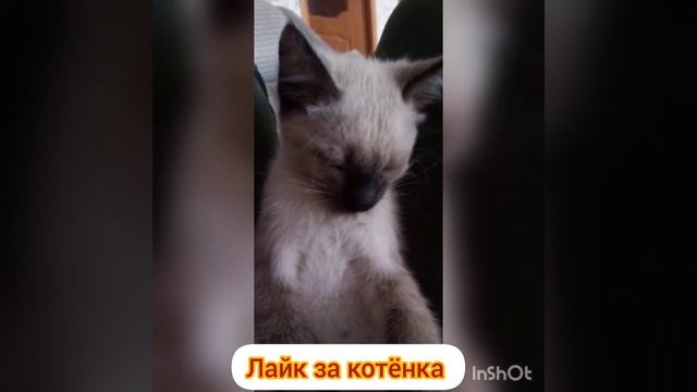 15 января 2022 г. смотреть онлайн