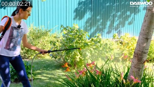 Тестирование аккумуляторного опрыскивателя DAEWOO DSA 5Li SET и DAEWOO DSA 10 Li