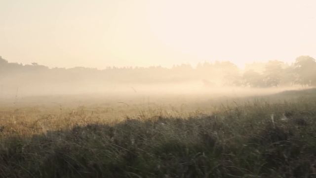 Людмила Богословская - Алёна / cover 2022 смотреть онлайн