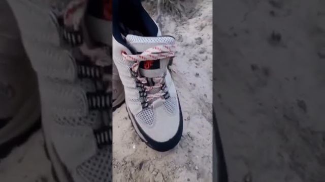 Кроссовки «Скорпион Пионер» арт. 2207ПК смотреть онлайн