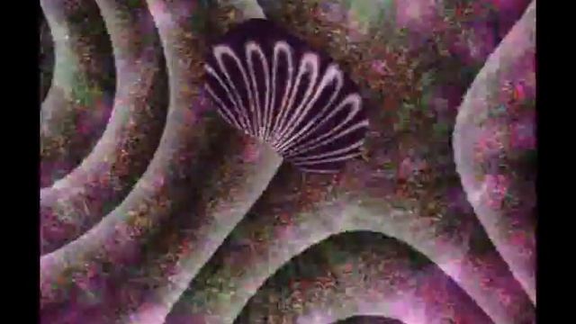 Flor sicodelica смотреть онлайн