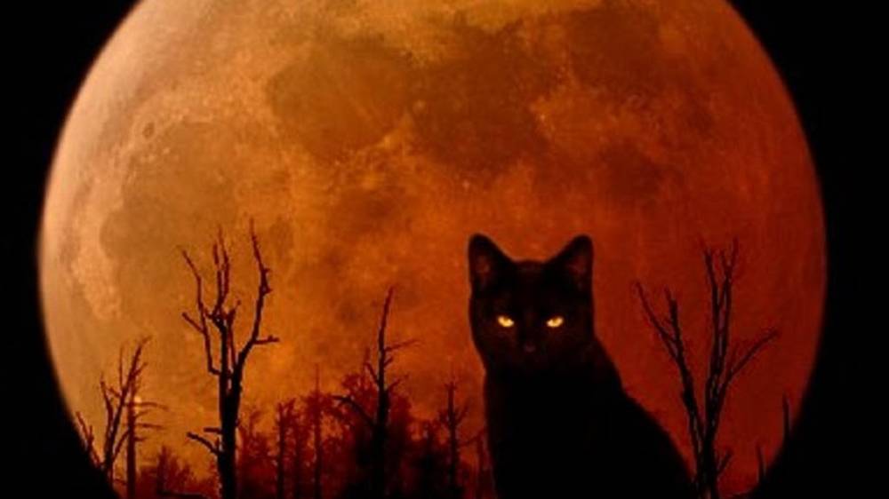 ПЯТНИЦА 13 !!! 😎👻 Избавляемся от страхов. смотреть онлайн